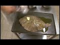 Introduction Troph�es Nord Is�re