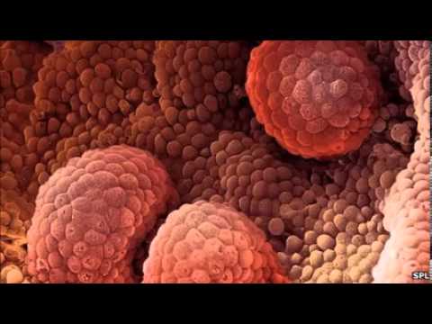how to eliminate oestrogen from the body