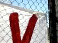Torcida  do V�lez Sarsfield exibe faixa da young flu