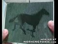 Optical illusion book Optical illusion book
