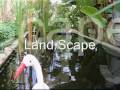 Foresta Resort Hua Hin Thailand