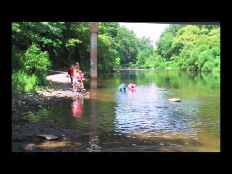 how to collect aquatic macroinvertebrates