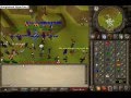 Runescape roit 07 GFY jagex