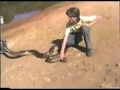 PEGANDO COBRA SUCURI 4 mt no pantanal