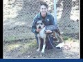 Tuska Homma kennels