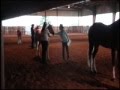 videos de Nilla: To Hot To Trot Show