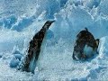 La marcha de los Pinguinos Peronistas