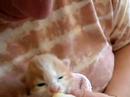 \"philibert\" t�te