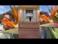 Open video
