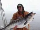 Chesapeake Bay Rockfishing