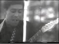 hound dog taylor