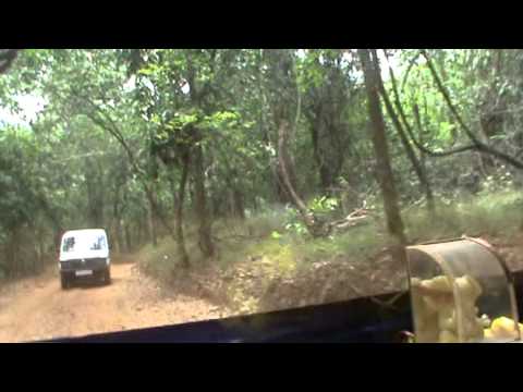 jungle safari at Mahavir Wildlife sanctuary towards dudhsagar GOA.MPG