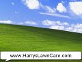 Lawn Care Maintenance to Lush Green Grass