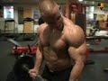 European flex compilation