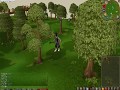 videos de Dragon axe vs Rune axe