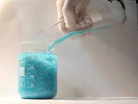 Immagine anteprima YouTube