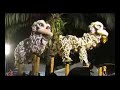 Hok San Lion Dance on Jongs (pole) in Malaysia Part 2