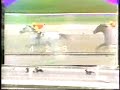 Clasico Simon Rodriguez 1985