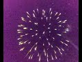 roundhay firework 2007