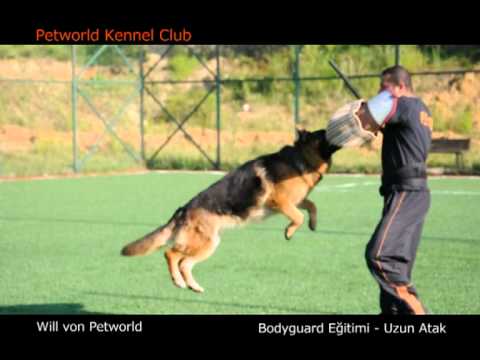 alman kurt k-9