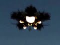 New UFO Spotted