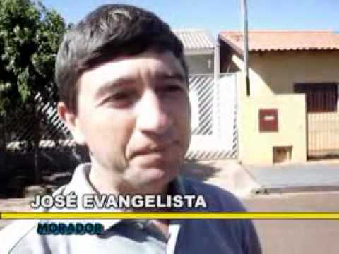 Dupla de Lagartos Causam Alvoroço em Uraí