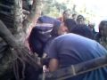 funeral sacrifice of mithun in BANGNI traditional