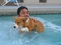 Swimming with Jobber