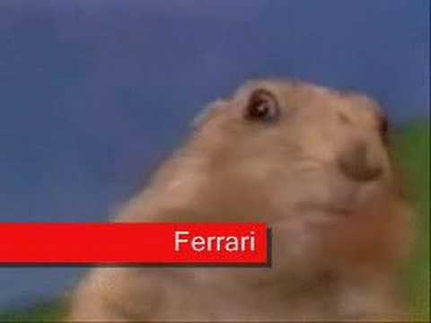 Drama Prairie Dog - Zoolander