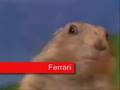 Drama Prairie Dog - Zoolander