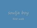soulja boy video by lil soulja
