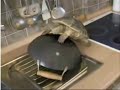 I like turtles song I like turtles song