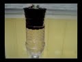 This is a work in progress and I will add follow-ups to this video as the basil plants grow larger! As winter will soon be upon us, I am experimenting with the wonderful world of hydroponics so I can have some fresh veggies during the off season, ON THE CHEAP! Hydroponics is a lot simpler than it first seems. Liquid nutrients deliver regular and consistent food to the plants on a timed schedule and therefore producing an ideal growing situation for bigger and faster fruit production than soil! Also because there is no soil, the system runs cleaner and much smaller pots can be used as we are only need to accommodate space for the roots and some media (rock wool and hydro pellets) for support. This ebb and flow system is inspired by a few instructables from instructables.com, but modified so that the root cup is removable. All that is needed is: -Hydroponic cup -A rock wool plug -Clay pellets for added substrate -Aquarium air pump -Air tubing -Air tubing relief valve -Inverted water bottle, with bottom cut off, sized for the Hydro pot -Plastic cup to hold water bottle -Power drill to drill holes in the bottle caps During winter, this set up will need an artificial light source, but this was a trial filmed in July 2009, so there is sufficient sun intensity and duration in the window sill for now! Feel free to comment! Some of the materials needed for this project can be found at my ebay site! myworld.ebay.com