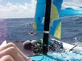 See Video