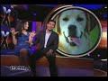 Seth Casteel of Little Friends Photo on EXTRA