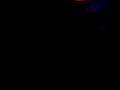silvester