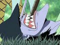 One Piece AMV
