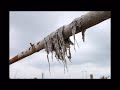 [video-image]