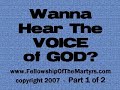 Wanna Hear The Voice of God? - 1 of 2 - audio book
