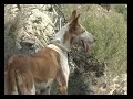 Ver vídeo