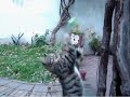 blito-en-el-turko.html