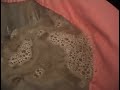 Extraccion de hachis con lavadora