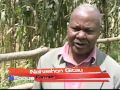 Click here to watch this video Kenya Agriculture