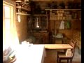 phoenix-baba-novac-live.html