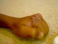 Loli loli (pop that body) hand puppets