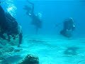 Dikigorika dive (Greece)