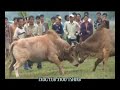 09 Maim Tseeb Tseeb - Zos Roob Kub Toom 09 Maim Tseeb Tseeb - Zos Roob Kub Toom