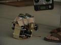 robot eyes BRANDON MINTON PINE SOUL