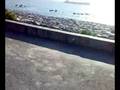 videos de 1