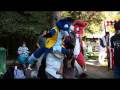 videos de Krazy furries